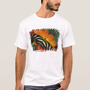 Camiseta América Central, Costa Rica, Selva Verde
