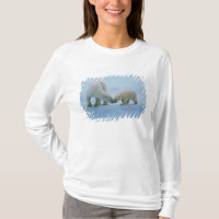 América do Norte, Ártico Canadense. Urso polar