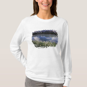 Camiseta América do Norte, Canadá, Alberta, Banff Nacional