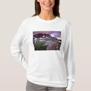 Camiseta América do Norte, Canadá, Alberta, Jasper