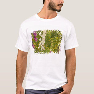 Camiseta América do Norte, Canadá, Ilhas Queen Charlotte, 5