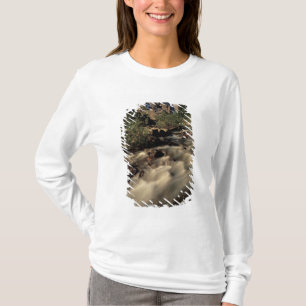 Camiseta América do Norte, Canadá, Rockies Canadenses, Banf