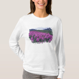 Camiseta América do Norte, Canadá, Yukon. Epilóbio floresce