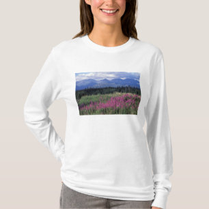 Camiseta América do Norte, Canadá, Yukon. Fireweed floresce