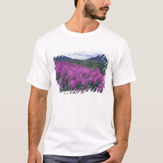 Camiseta América do Norte, Canadá, Yukon. Fireweed floresce