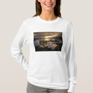 Camiseta América do Norte, EUA, Alasca, Baía de Gelo, Paisa
