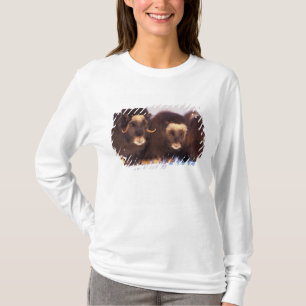 Camiseta América do Norte, EUA, Alasca, Círculo Polar Ártic