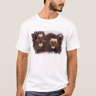 Camiseta América do Norte, EUA, Alasca, Círculo Polar Ártic