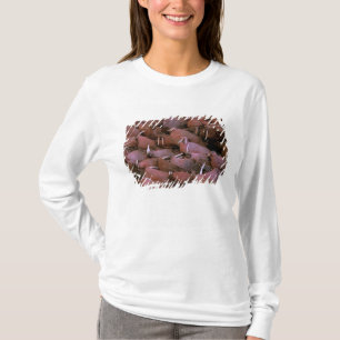 Camiseta América do Norte, EUA, Alasca, Delta do Yukon Naci