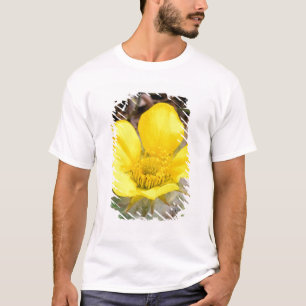 Camiseta América do Norte, EUA, Alasca, Denali Nacional