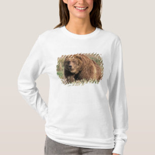 Camiseta América do Norte, EUA, Alasca, Ilha Kodiak,