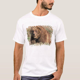 Camiseta América do Norte, EUA, Alasca, Ilha Kodiak,