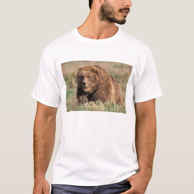 Camiseta América do Norte, EUA, Alasca, ilha Kodiak, (Frente)