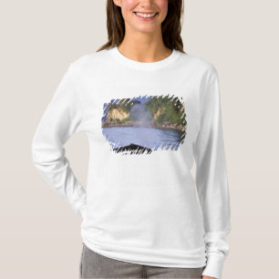 Camiseta América do Norte, EUA, Alasca, Inside Passage.