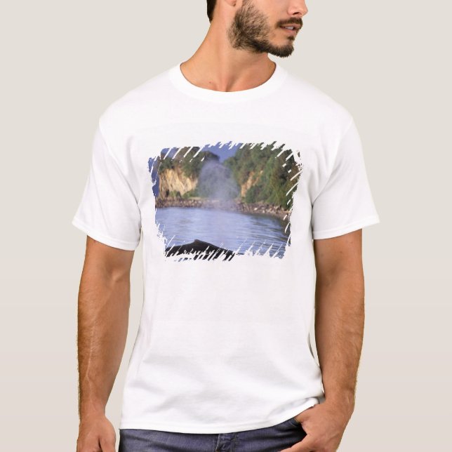 Camiseta América do Norte, EUA, Alasca, Inside Passage. (Frente)