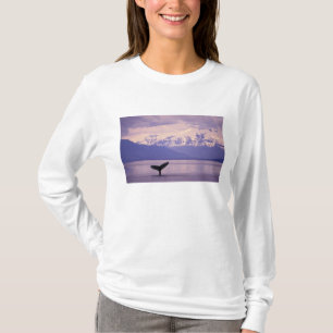 Camiseta América do Norte, EUA, Alasca, Passagem Interior.