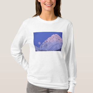Camiseta América do Norte, EUA, Alasca, Rio Knik,