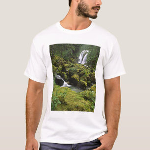Camiseta América do Norte, EUA, Alasca. Uma cachoeira e