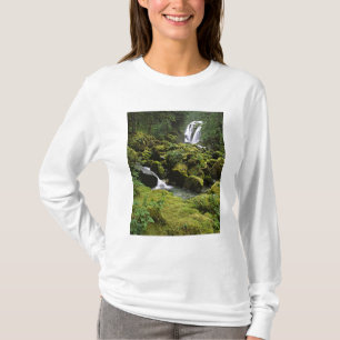 Camiseta América do Norte, EUA, Alasca. Uma cachoeira e