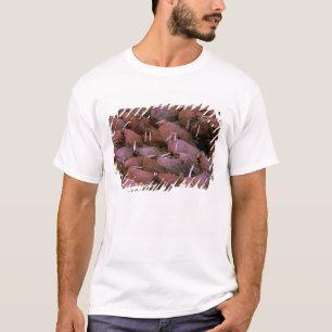 Camiseta América do Norte, EUA, Alasca, Yukon Delta Naciona