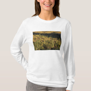 Camiseta América do Norte, EUA, Arizona, Deserto de Sonora