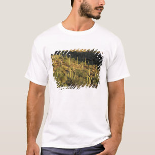 Camiseta América do Norte, EUA, Arizona, Deserto de Sonora