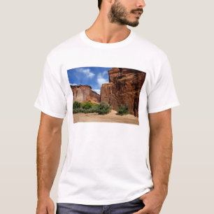 Camiseta América do Norte, EUA, Arizona, Navajo Indian 5