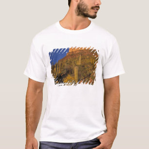 Camiseta América do Norte, EUA, Arizona, Organ Pipe Cactus