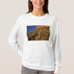 Camiseta América do Norte, EUA, Arizona, Organ Pipe Cactus