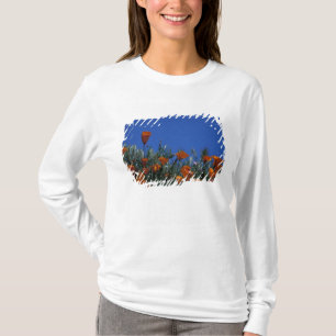 Camiseta América do Norte, EUA, Califórnia, Antelope Valley
