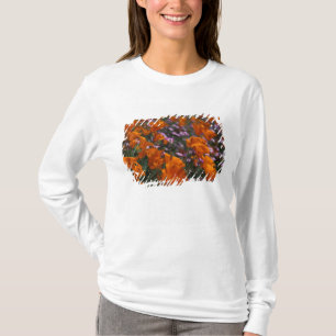 Camiseta América do Norte, EUA, Califórnia, Antelope Valley