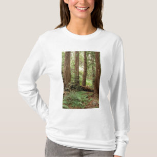 Camiseta América do Norte, EUA, Califórnia, Big Sur,