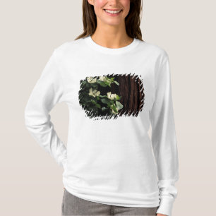Camiseta América do Norte, EUA, Califórnia, Yosemite 2