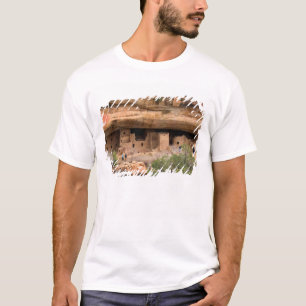 Camiseta América do Norte, EUA, Colorado. Habitações nos pe