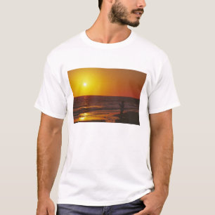 Camiseta América do Norte, EUA, Flórida, Ilha Sanibel.