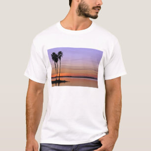 Camiseta América do Norte, EUA, Flórida, Mt. Dora, um trio
