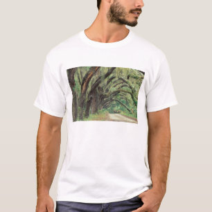 Camiseta América do Norte, EUA, Geórgia, Cumberland 2
