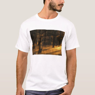 Camiseta América do Norte, EUA, Geórgia, George Smith