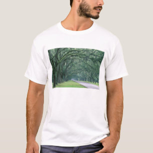 Camiseta América do Norte, EUA, Geórgia, Savannah,
