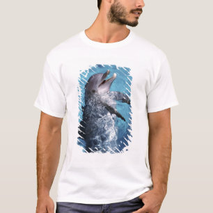 Camiseta América do Norte, EUA, Havaí. Golfinho
