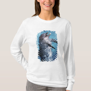 Camiseta América do Norte, EUA, Havaí. Golfinho
