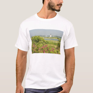 Camiseta América do Norte, EUA, Massachusetts, Martha's