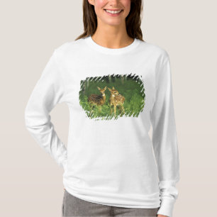 Camiseta América do Norte, EUA, Minnesota. De cauda branca