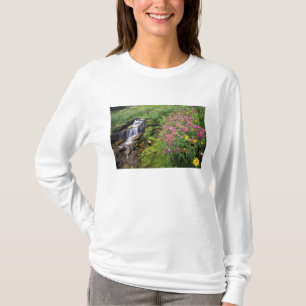 Camiseta América do Norte, EUA, Montana, Parque Nacional Gl