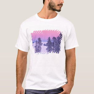 Camiseta América do Norte, EUA, Montana, Yellowstone