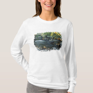 Camiseta América do Norte, EUA, NH, A ponte em Packers