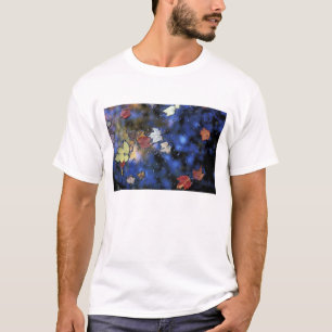 Camiseta América do Norte, EUA, NH, Folhas em uma lagoa pró