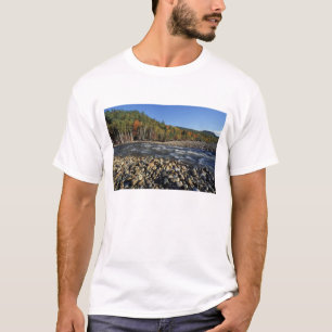 Camiseta América do Norte, EUA, NH, Uma praia de seixos na