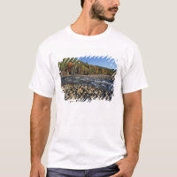 América do Norte, EUA, NH, Uma praia de seixos na