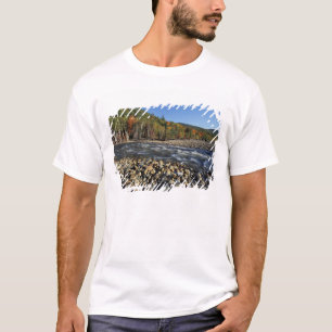 Camiseta América do Norte, EUA, NH, Uma praia de seixos na
